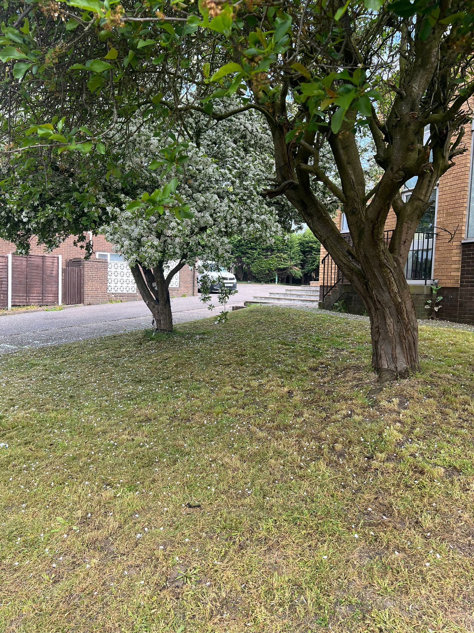 Expansion photo 6